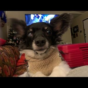 Meet your Posher, Vicki